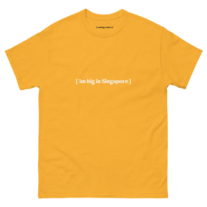 im big in singapore tasting colors t-shirt