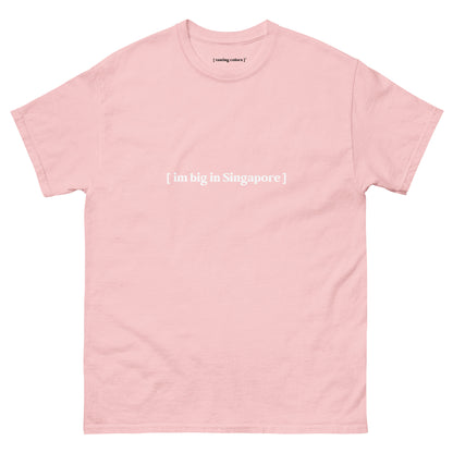 im big in singapore tasting colors t-shirt