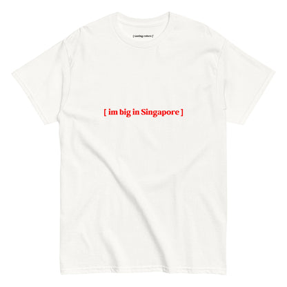 im big in singapore tasting colors t-shirt